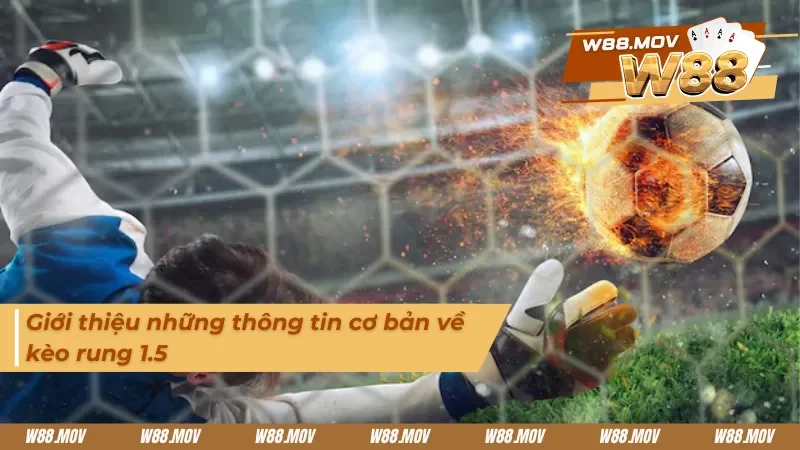 Giới thiệu những thông tin cơ bản về kèo rung 1.5