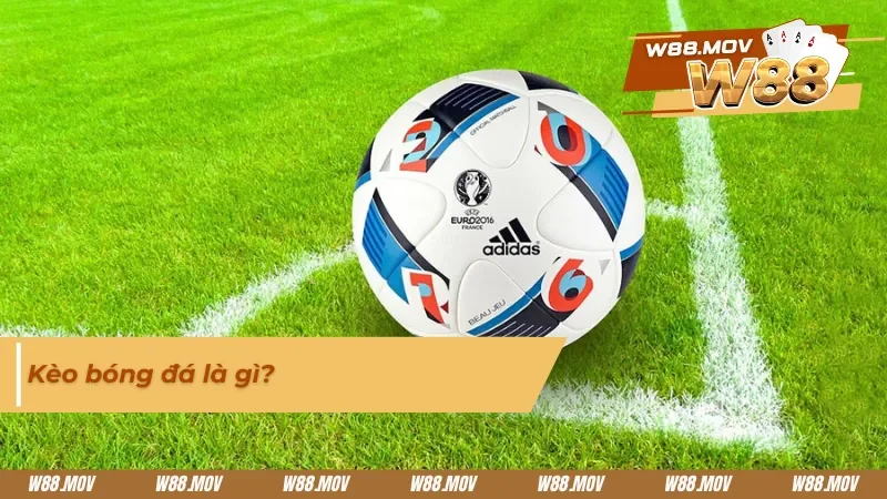 Tìm hiểu kèo bóng đá dễ chơi cho người mới